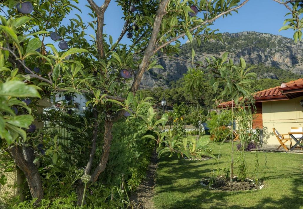 Sandal Hotel Goecek Gocek (Fethiye) Exterior photo